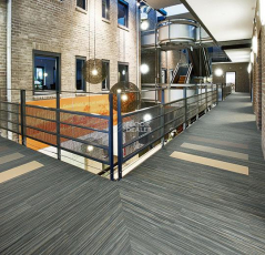 Forbo Marmoleum Modular t5237 black sheep фото 2 | FLOORDEALER